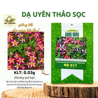 Hạt giống hoa Dạ Uyên Thảo sọc mix