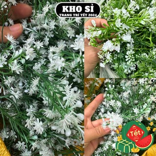 100gr cỏ điểm bi trắng nhặt sạch trang trí gói hoa