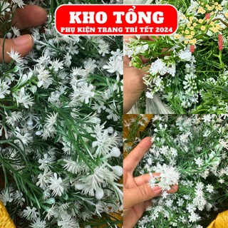 100g cỏ điểm nhặt sạch