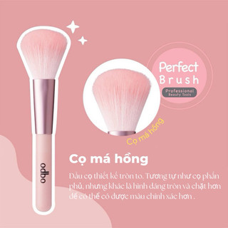 Cọ Má Hồng Odbo Thái Lan
