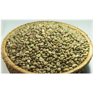 GREEN COFFEE BEANS ORGANIC_hạt cà phê xanh_nguyên hạt_ 1kg(1000g)