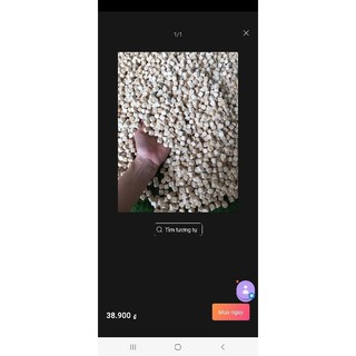 HẠT GỖ XÚC CÁT CHO BÉ ( 1KG)