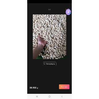 HẠT GỖ XÚC CÁT CHO BÉ ( 1KG)