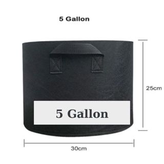 SET 10 TÚI LOẠI 5 GALLON_Túi vải trồng cây, trồng hoa, củ quả,chậu vải màu đen có quai cầm siêu bền