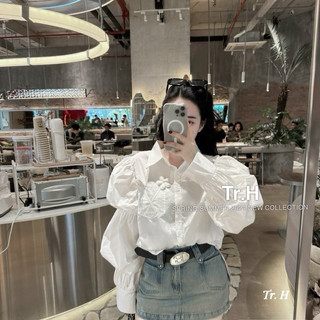 Áo sơmi tay bồng đính hoa qc l1