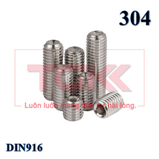 Vít trí inox 304 M2.5 - DIN916