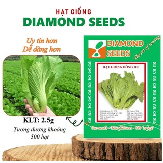 Hạt giống rau cải bẹ dưa nảy mầm 100%