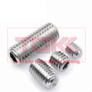 Vít trí inox 304 M2.5 - DIN916