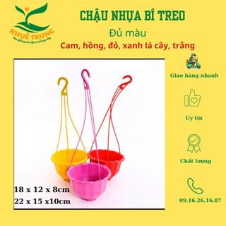 Chậu treo bí đủ màu