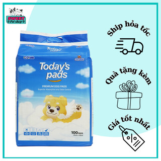 Miếng lót vệ sinh cho chó TODAY'S PADS loại 100 miếng (40X50CM)