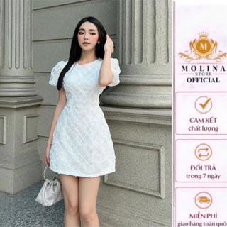 Đầm Ren Chữ A Thêu Hoa Hồng Thiết Kế Molina Tay Bồng Tiểu Thư Cổ Tròn Nữ Tính, Phù Hợp Đi Tiệc Dạo Phố