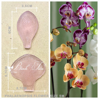 Gân hoa đất sét- hoa hồ điệp 2 cánh size SM