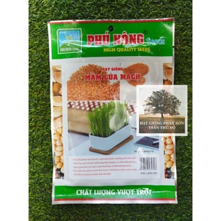 Hạt giống mầm lúa mạch phú nông gói 50gr