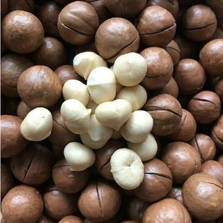 Hạt macca nứt vỏ thơm ngon [Có hồ sơ công bố- hóa đơn VAT]