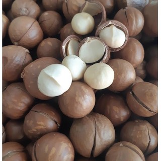 1 KG- Hạt macca nứt vỏ chuẩn loại 1