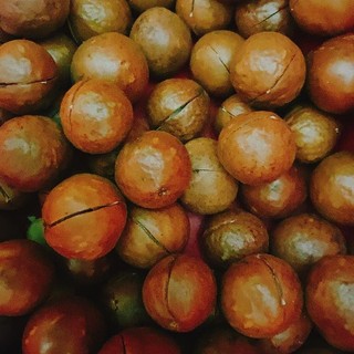 Hạt macca nứt vỏ thơm ngon [Có hồ sơ công bố- hóa đơn VAT]