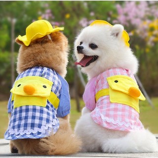 🐶🐱 ÁO CHÓ MÈO HÌNH VỊT CUTE