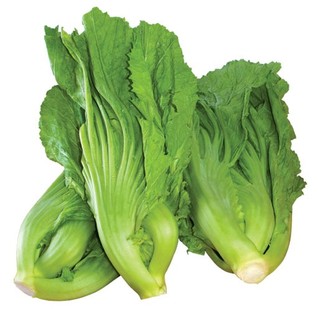 [BÁN SỈ] Hạt giống cải bẹ dưa (cải bẹ Đông Dư, cải bẹ muối dưa)