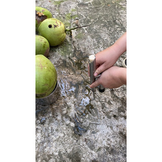 Búa Đục Dừa( Mẫu Mới ) nặng 500g