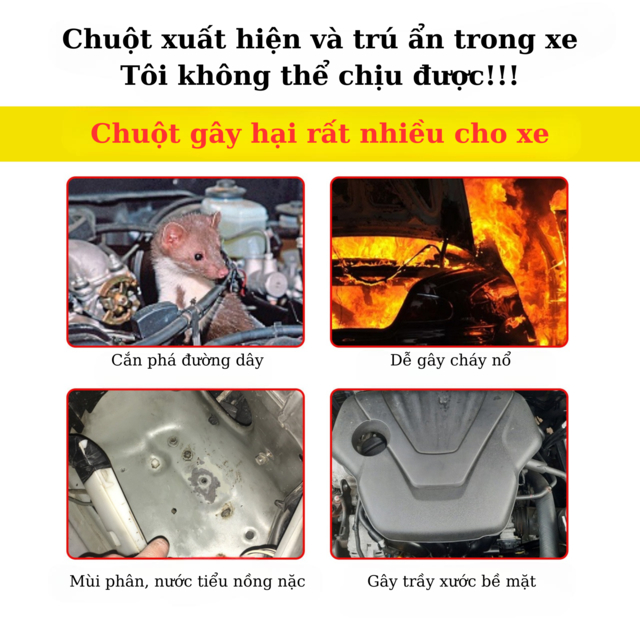 Rayhong Bình Thuốc Xịt Đuổi Chuột Ô Tô Trong Nhà, Bếp