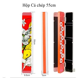 HỘP PHAO CÁ CHÉP CAO CẤP