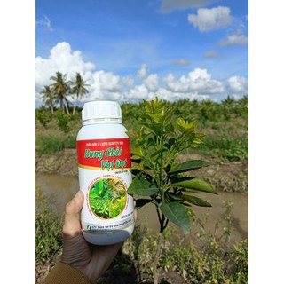 Phân bón lá bung chồi-vọt đọt