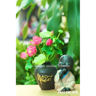 BÌNH SEN CHÚ TIỂU