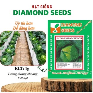 Hạt giống rau bắp cải xanh F1, trồng quanh năm