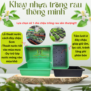 (Combo 5) Khay trồng rau thông minh 65 (kích thước 65 x 43 x 16cm) - Green City