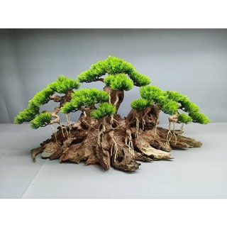 Cây gỗ lũa Bonsai cho hồ cá cảnh (phần đế bằng gỗ)