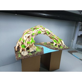 Layout "Cầu Vồng" dành cho bể cá cảnh, bể thủy sinh, bể bán cạn, tiểu cảnh, bể cá dĩa, cá lóc