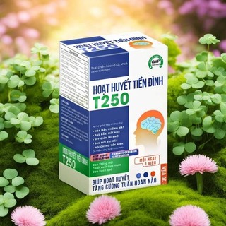 Hoạt huyết tiền đình T250