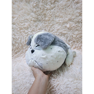gấu bông chó mặt xệ trong Tom & Jerry 22cm
