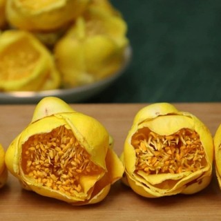 cây giống trà hoa vàng