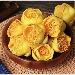 cây giống trà hoa vàng