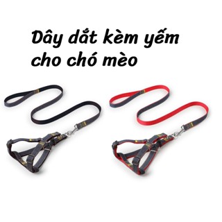 Dây dắt kèm yếm cho chó mèo vải jean, vòng cổ thú cưng denim