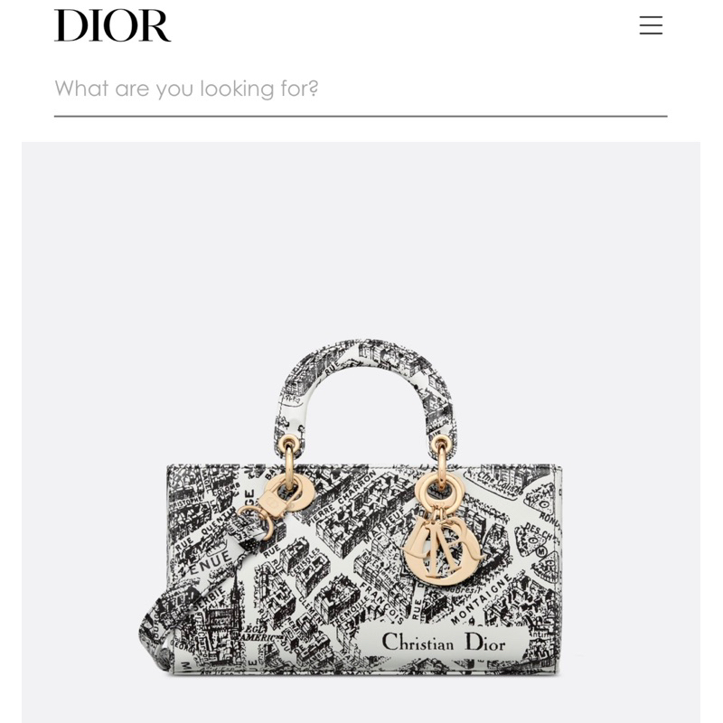 Túi Dior Lady D-Joy Thêu Tranh Trắng Đen Plan de Paris Printed 26cm