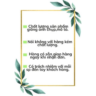 Trà Long nhãn hạt chia bổ dưỡng