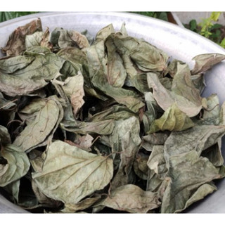 1kg lá trầu không khô sạch sẽ