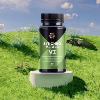 Synchrovitals VI Siberian Nga - Hỗ trợ giảm thoái hóa khớp
