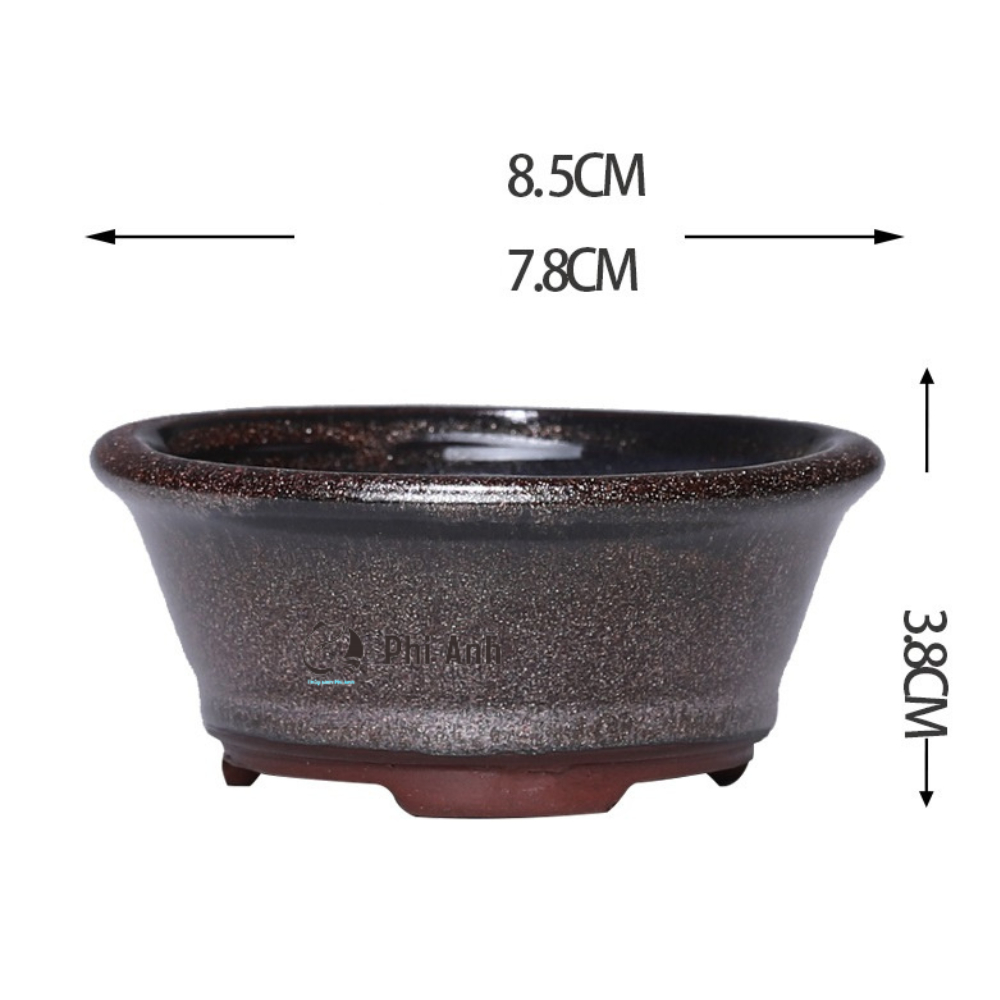 Chậu Cây Bonsai Mini Chậu Tử Sa Kim long sa