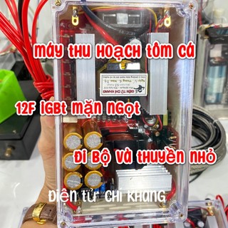 Máy kích điện tử 12f igbt mặn ngọt - Điện Tử Chí Khang