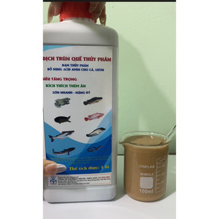 Dịch trùng quế thủy phân cho cá lươn ếch baba ốc