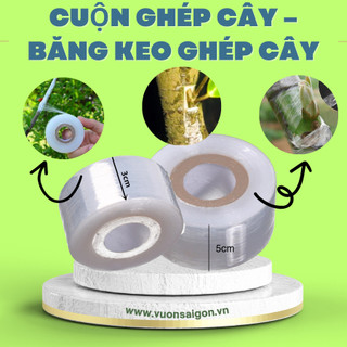 Cuộn băng keo ghép cây loại 3cm và 5cm (Vườn Sài Gòn - Vuon Sai Gon), giữ chặt mối ghép