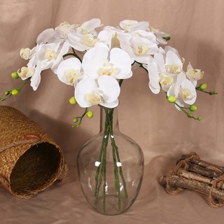 Hoa lan lụa - hoa lan hồ điệp cao su cao cấp dùng trang trí decor nội thất bông by catt
