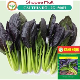 Hạt giống cải thìa đỏ, cải pokoy tím, cải thìa tím giàu dinh dưỡng gói 2g~500h hạt - hạt giống canh nông