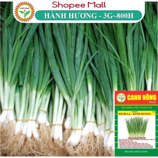 Hạt giống Hành Hương Hành Lá Chịu Nhiệt (3g~800 hạt) sinh trưởng mạnh, trồng quanh năm - Hạt giống CANH NÔNG
