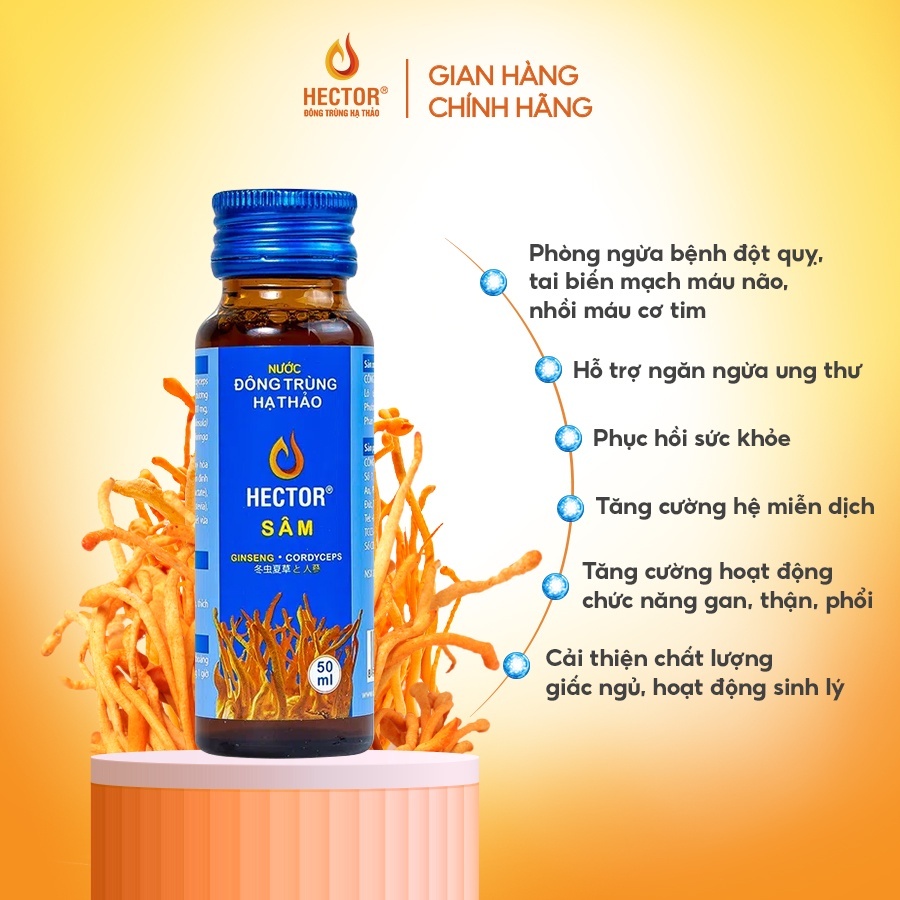 Nước Đông Trùng Hạ Thảo Hector Sâm Hộp 10 Chai x 50ml