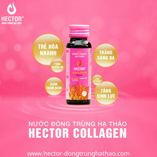 Nước Đông Trùng Hạ Thảo Hector Collagen Hộp 10 Chai x 50ml