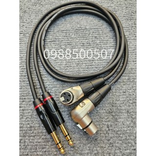 Dây canon rean đực cái cong ra 6 ly st